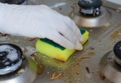 Kitchen Cleaning